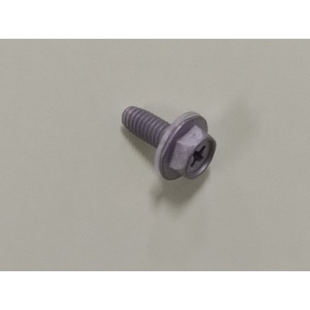 HEXA. HEAD TAPPING SCREW WITH WASHER (4SA01112-12)