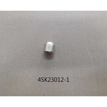 FLARE NUT (4SK23011-1)