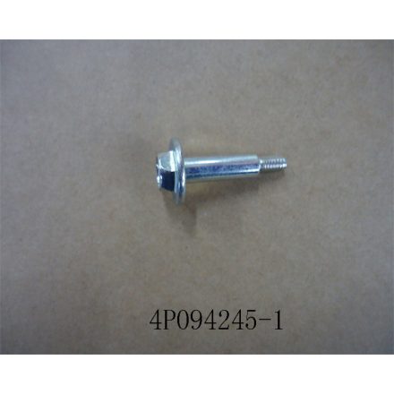 TAPPING SCREW (4P094245-1)