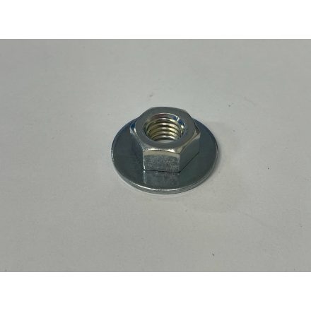 WASHER (NUT WITH WASHER) (R4911377-1)