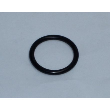 O-RING (4P315414-1)