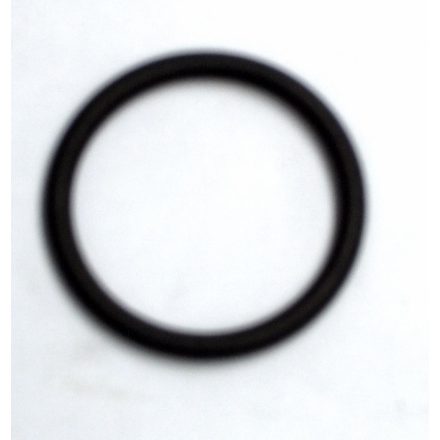 O-RING (4P319975-2)