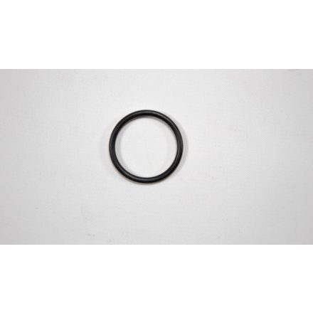 O-RING (4P322169-1)