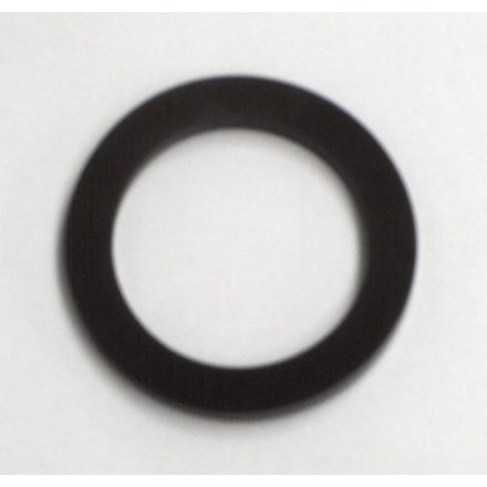 PUMP SEAL 1 (875567)