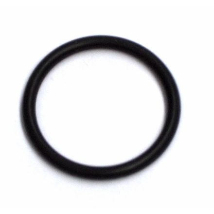 O-RING 19 X 2 (875827)